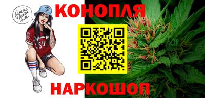 spice Дубна