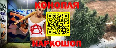альфа пвп Донецк