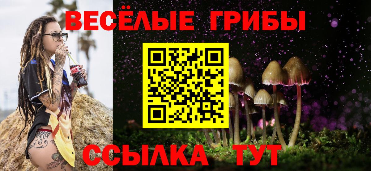 Галлюциногенные грибы мицелий Малгобек