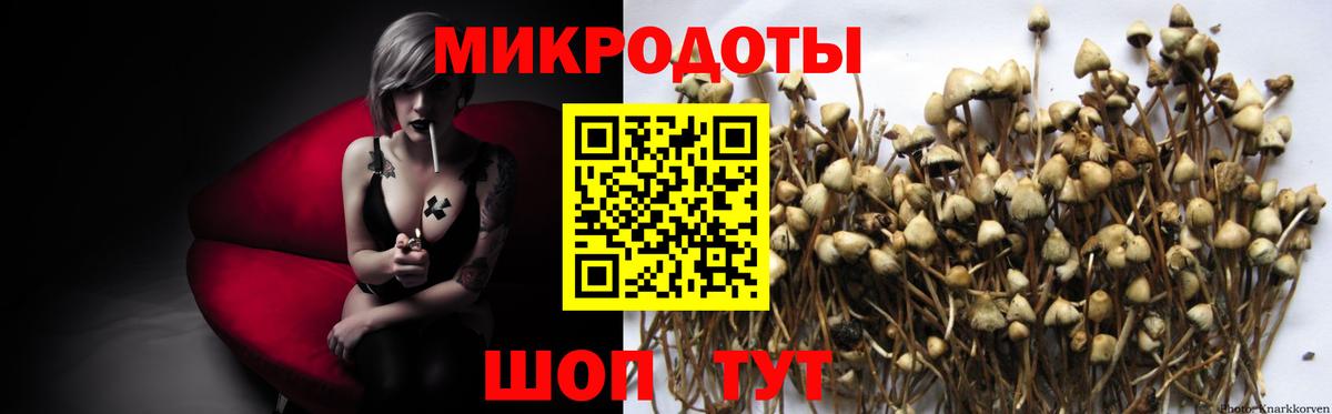 Псилоцибиновые грибы мухоморы  Вход с VPN  Малгобек 